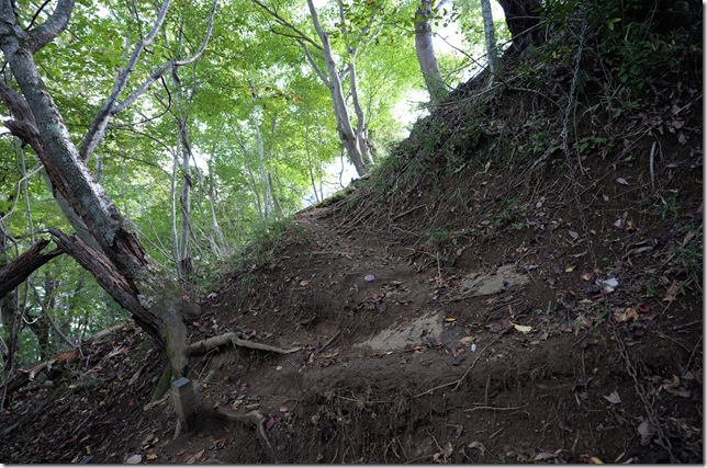 登城道