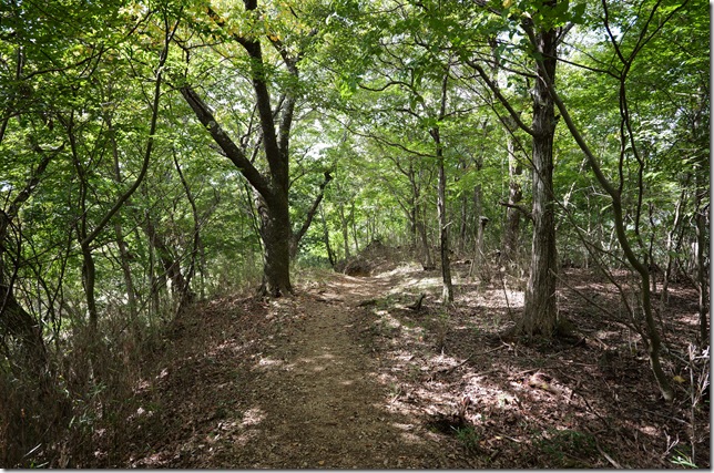 蔵屋敷跡
