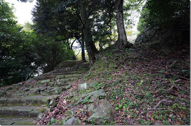 出丸へ続く石段