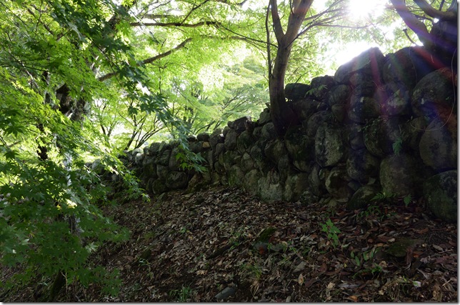 三の丸石垣（北側）