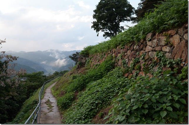 三ノ丸西側下の石垣