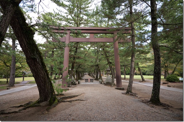 松の山道の鳥居