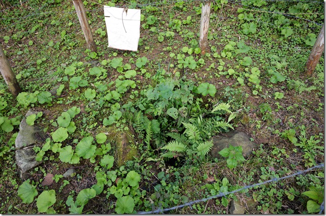 御殿御用井戸跡