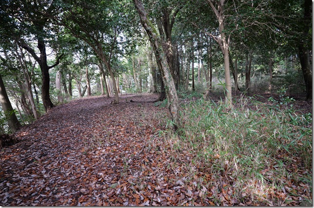 広大な郭（郭７）