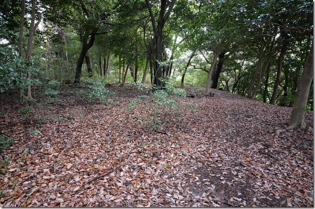 広大な郭（郭７）