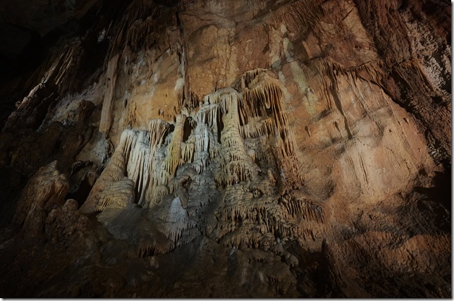 くらげの滝のぼり