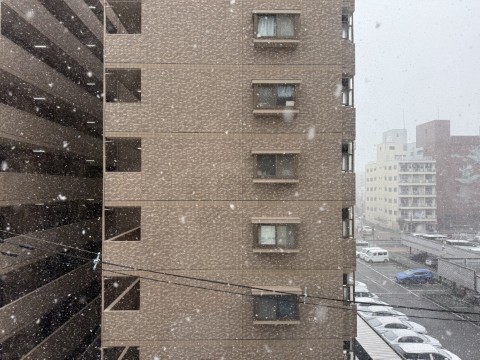 雪