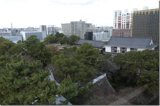 天守５階から北ノ丸のぞむ
