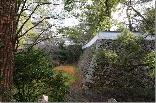 本丸北側石垣