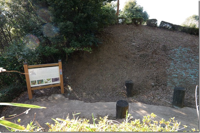 第三曲輪からの堀切Ⅲ