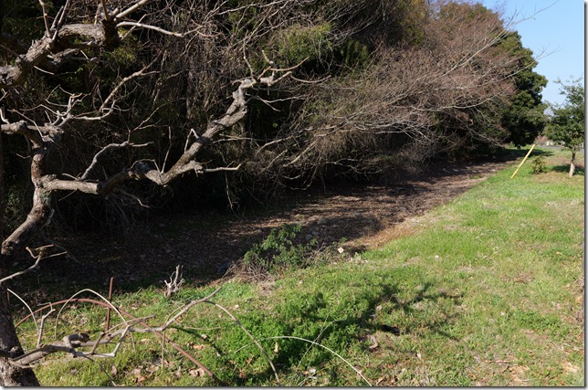 三ノ丸東側の堀跡