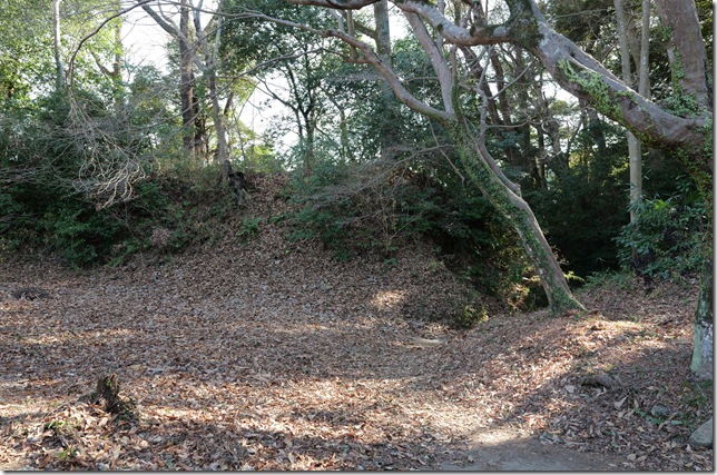 三ノ丸と高土塁