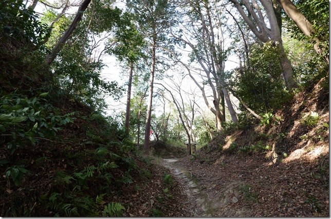 権現曲輪と二ノ丸間の堀切