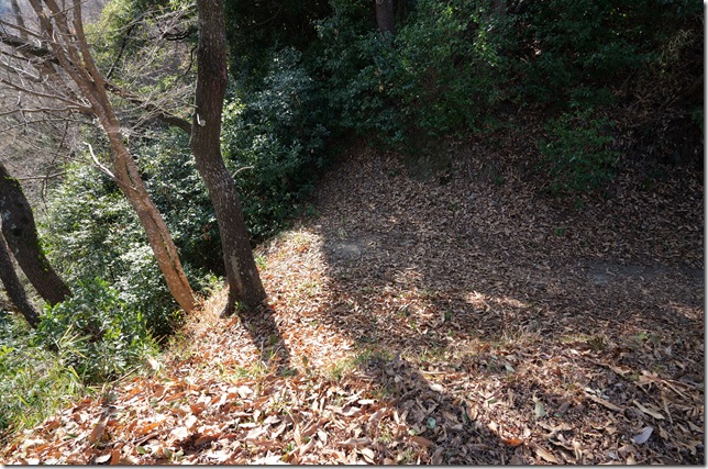 二ノ丸と本丸間の堀切（堀切１）