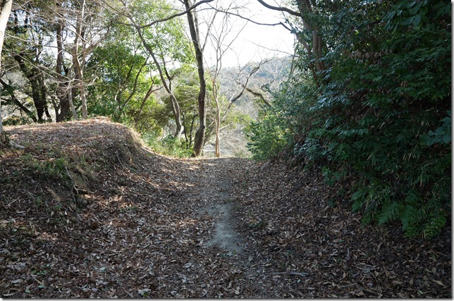 二ノ丸と本丸間の堀切（堀切１）