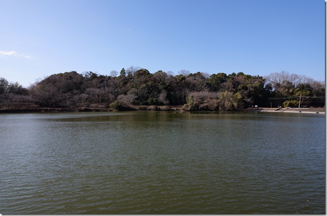城池対岸からの韮山城