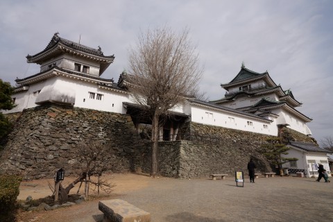 大天守・多聞・天守二の門・二の門櫓