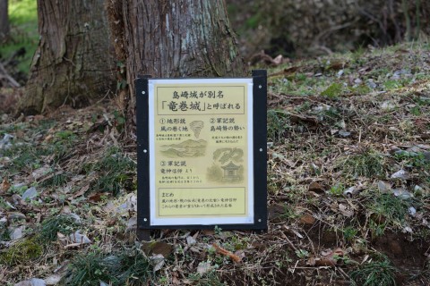 別名「竜巻城」の由縁