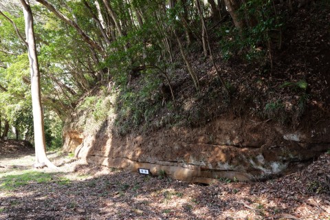 東二の曲輪切岸