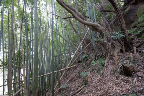東二の曲輪切岸
