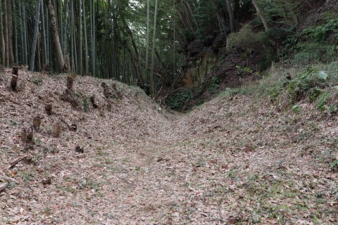 二重空堀(南側:物見台 - 東二の曲輪)