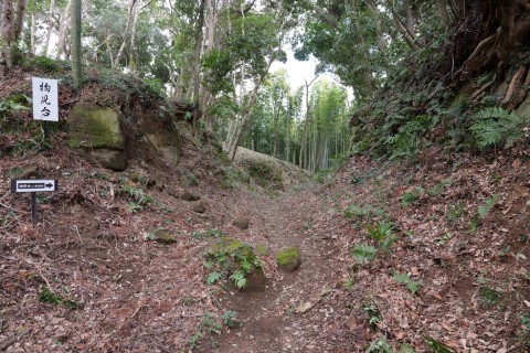 二重空堀(南側:物見台 - 東二の曲輪)
