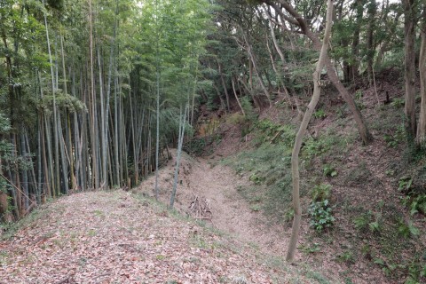 物見台から二重空堀の南側空堀のぞむ