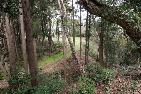 物見台から三の曲輪、二重空堀の北側空堀のぞむ