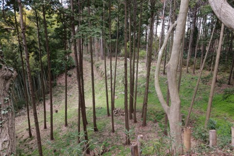 物見台より三の曲輪方面のぞむ