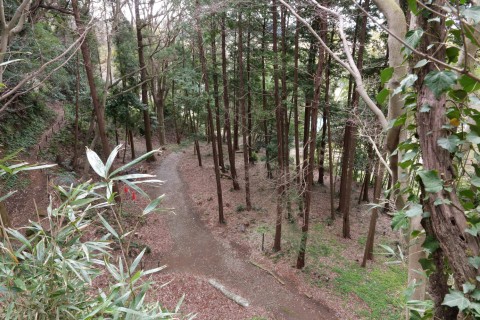 物見台から坊主屋敷のぞむ