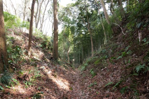 二重空堀の北側空堀