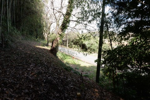 金井柵(搦め手)