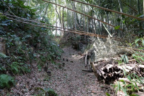 三の曲輪切岸と竹林