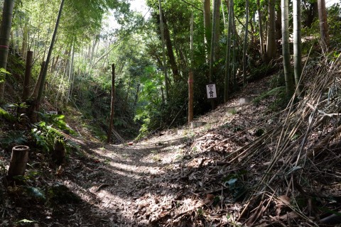 三の曲輪階段と外曲輪階段