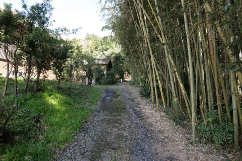 坊主屋敷方面へ