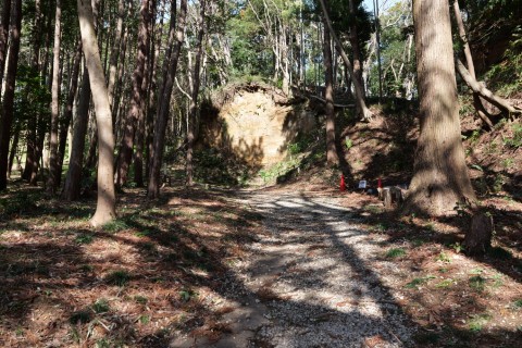坊主屋敷と物見台