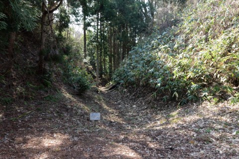 大堀切（本丸と長屋敷間）