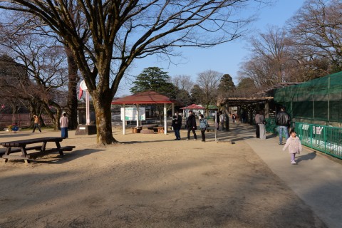 明丸（高岡古城公園動物園）