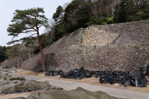 被災した本丸南石垣