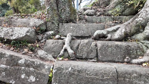 階段をよじ登っている人