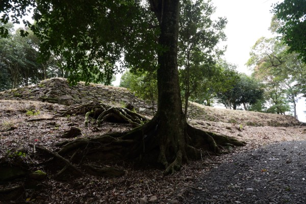 二の丸西曲輪石垣