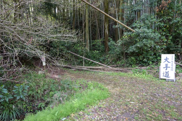 大手道入口