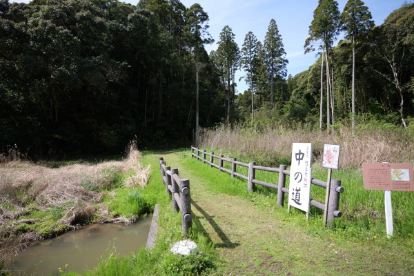 中の道入口