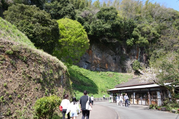 阿蘇溶結凝灰岩の岸壁