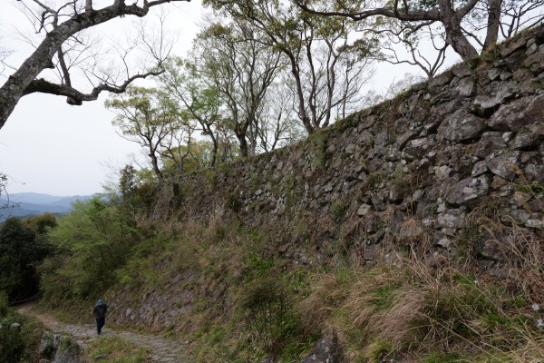二の丸東側石垣