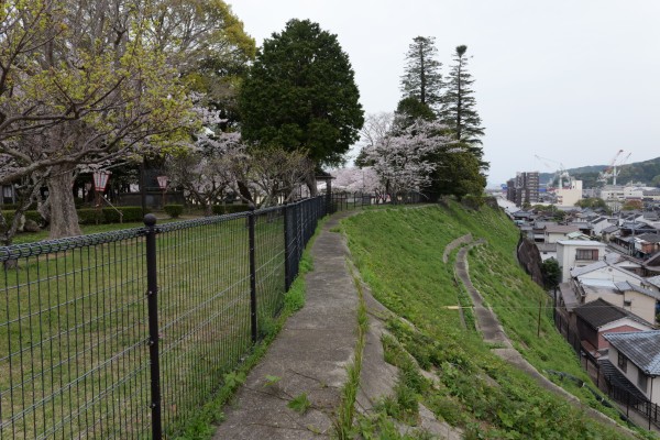 城跡の南側斜面