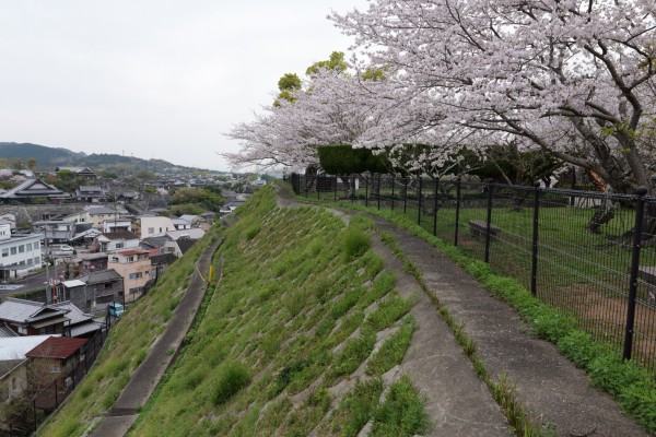 城跡の南側斜面