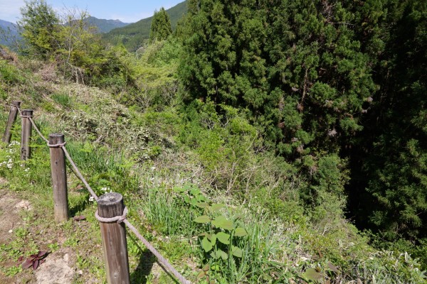 二の曲輪東側崖