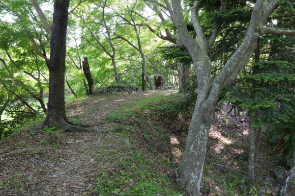二の丸南側土塁
