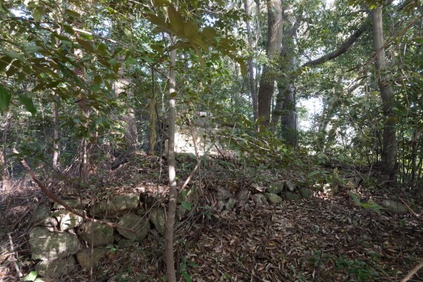 東曲輪東側の小曲輪